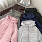 Women’s light hybrid quilted jacket with hood, assorted colors in a stacked set