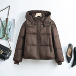Women’s short quilted jacket with removable collar padding, dark brown